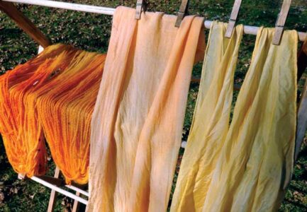 Natural Dyeing: How to Make Natural Dyes from Plants and Other Materials Image